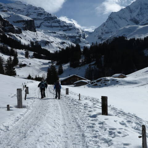 Zwischen Golderli und Steineberg Zoom: Zwischen Golderli und Steineberg